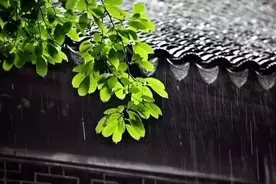 焚香听雨，方知春意图片
