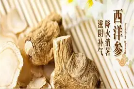 滋阴降火之王——西洋参图片