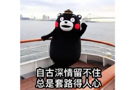 我走过最长的路，是妳的套路  感动哭了！图片
