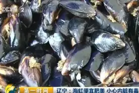 吃海鲜小心"海虹"内脏有毒！误食后果很严重...图片