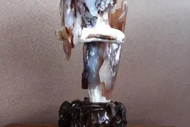 树化玉有望成为玉石收藏界的黑马（高达几几百万）图片