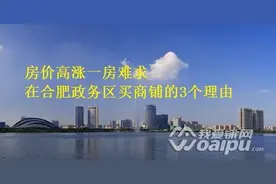 看完这个 终于明白为什么借钱也要买合肥政务区商铺了图片