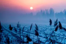 我愿变成翅膀，守护最美的天使图片