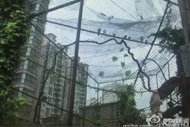 西安南门附近惊现三层楼高巨型鸟笼图片