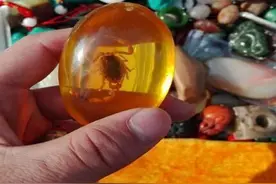 太令人气愤，周末前去文玩地摊上淘宝贝，发现一堆暴利假货！图片