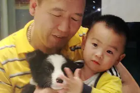 凌云边牧伴侣犬训练指南——如何培养边牧宝宝衔取巡回教学视频分图片