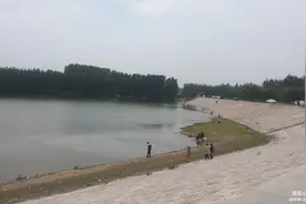 杜张水库-双飞小鲤鱼拐子图片