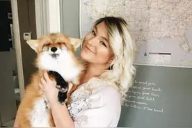 获救狐狸与牧羊犬的幸福生活  又萌又有爱 赶紧在一起吧！图片