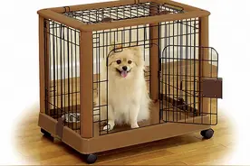 狗狗到底要不要放在笼子里养？你家有小笼子吗？图片