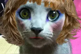 拍照时，你会给狗狗PS吗？画面太美我不敢看！图片