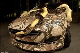 这样的恐怖汽车谁敢坐？刺透灵魂的恐怖！图片