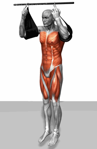 今天推荐从人体结构到光滑细嫩的肌肤秘诀再到手脚