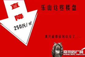乐山这些盘最高直降250元/㎡，我只能帮你到这儿了！图片