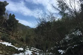 带你去挖宝！图片