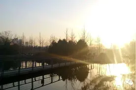 黎明前的黑夜，你的歌图片