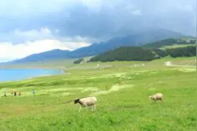 安妮（外一则）图片