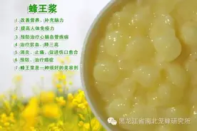 蜂王浆--越来越受人们喜爱的原因图片