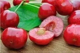 水果果核勿乱食图片
