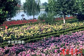 大荔：雨过天晴景色美 同州湖畔花儿红（组图）图片