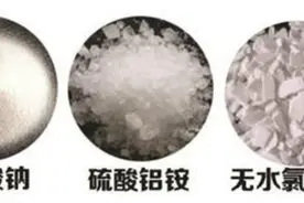 致人弱智的假海蜇，10年前就生产了，还是原来的配方那个味图片