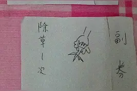 作为妈妈，最开心的就是母亲节，收到儿子写满祝福的礼物图片