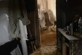 武汉一户梅姓贫困家庭四人三残疾 住桥下18年靠捡垃圾为生视频封面