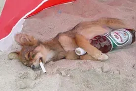 测试题：你的预见判断力够强吗？最后一道题加10分图片