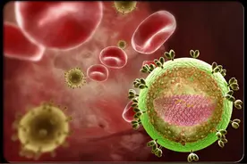 天啦噜！HIV和艾滋病竟然不是一回事儿？！图片