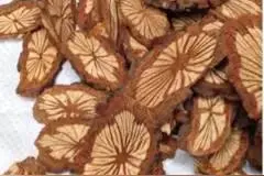 解毒消痈，活血止痛——会流血的大血藤图片