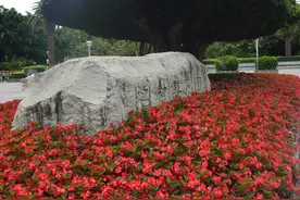 南宁旅游：南湖公园名树博览园半日游（组图）图片