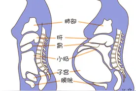 胎儿太调皮了！妈妈的内脏竟会被他挤成这个样子！图片