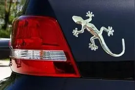 汽车车尾的那个壁虎到底是什么东西？图片