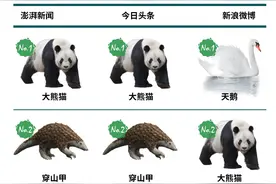 2017年国家重点保护动物关注度排名：大熊猫穿山甲进前十图片