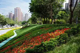 新时代新气象新作为｜成都建史上最大绿化工程：超三万里绿道图片