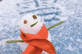 温州终于下雪啦！部分山区银装素裹，简直美爆了！但出行者要注意，本周后期依旧雨夹雪，多趟列车、客车已停运！图片