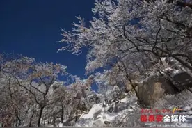 大雪过后 新泰莲花山景区暂停开放图片