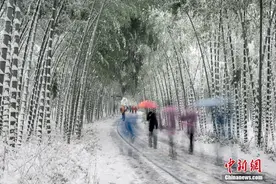 江苏南山竹海雪后银装素裹现北国风光图片