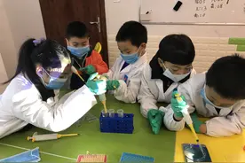 小番茄、紫薯都是转基因食品？几个小学生做了个很详尽的课题研究：不是，可以放心吃！图片