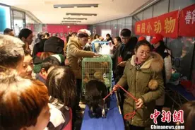 江西南昌举行宠物领养活动 为流浪动物寻找“归宿”图片
