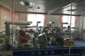 河南一女童吃了口猕猴桃后呼吸急促，被紧急送往PICU抢救！图片