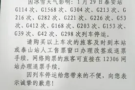 因冰雪影响 1月29日高铁泰安站16趟列车停运图片