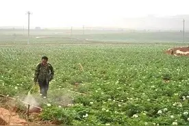 过期农药可以使用吗？图片