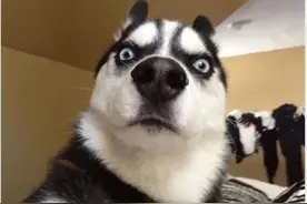 提醒｜长沙快处快赔不受48小时限制，可在冰雪天气结束后处理图片