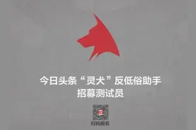 今日头条将发布小程序“灵犬” 向全社会招募测试员图片