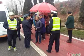 宜春：橘子难售愁煞村民 老橘农冒险在国道卖橘图片