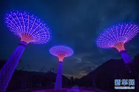 五彩“光电树”扮靓特色“光电小镇”图片