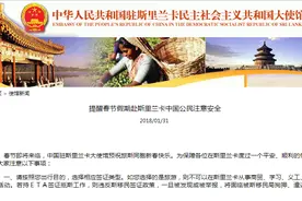 赴斯里兰卡中国公民禁带香烟 被查获以走私罪论处图片