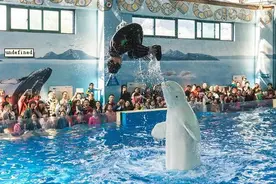 总投资达35亿 萧山极地海洋公园二期2月9日正式开放图片