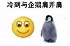 三岁女孩穿一条秋裤在街上转悠，而她的父亲却在屋里喝茶！图片