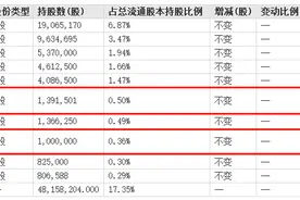 华商基金下调*ST华泽估值，深市首只仙股呼之欲出图片